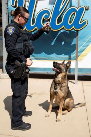 Officer Tiffanie Hand and K-9 Kylo